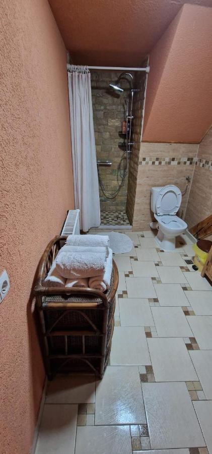 Апартаменты Casa Moldo Сигишоара Экстерьер фото